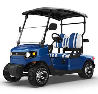 2 places Golf Buggy
