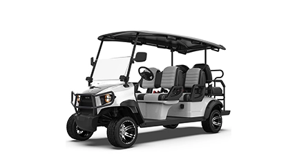 Chariot de golf électrique HKEV-GHL42